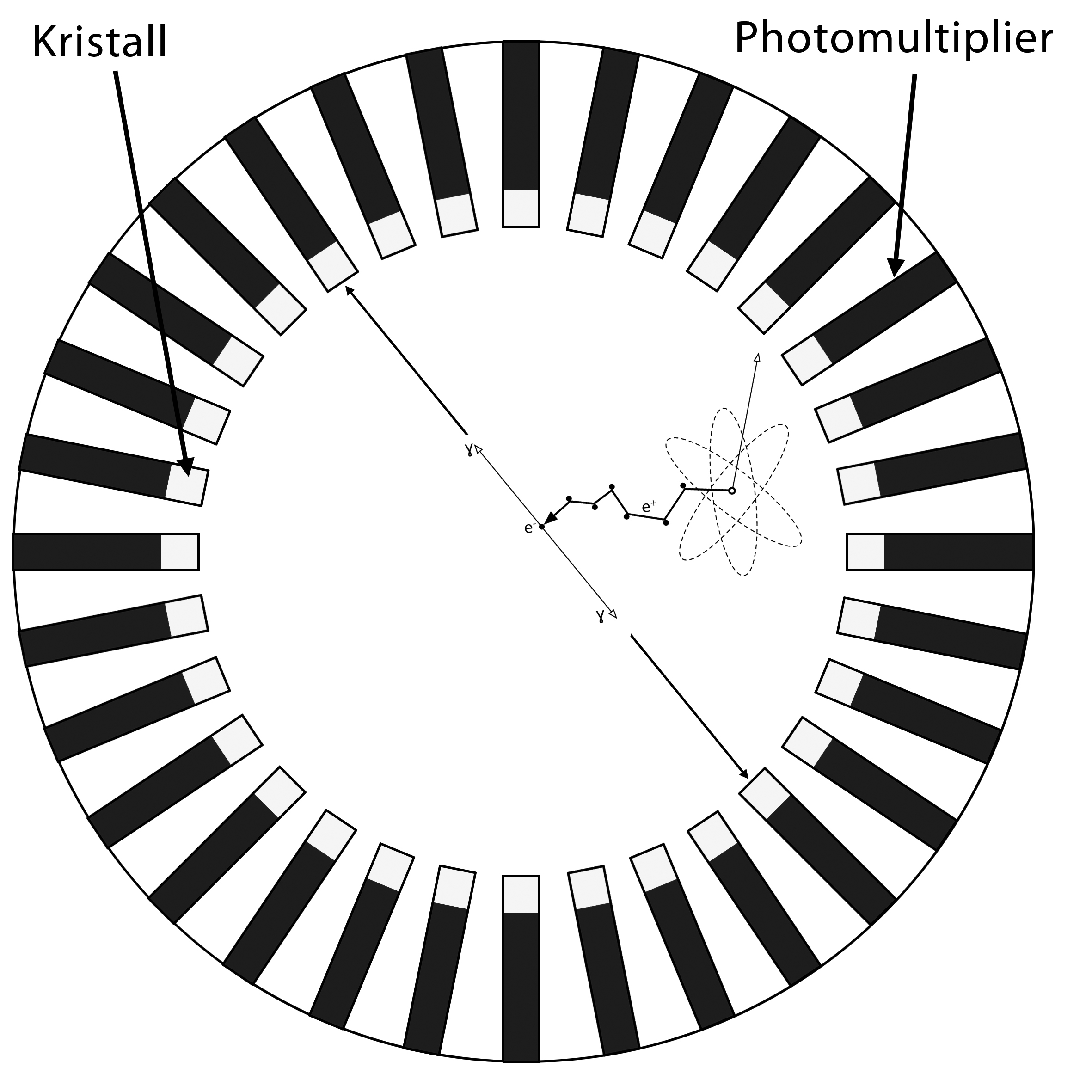 PET-Scanner-Schema