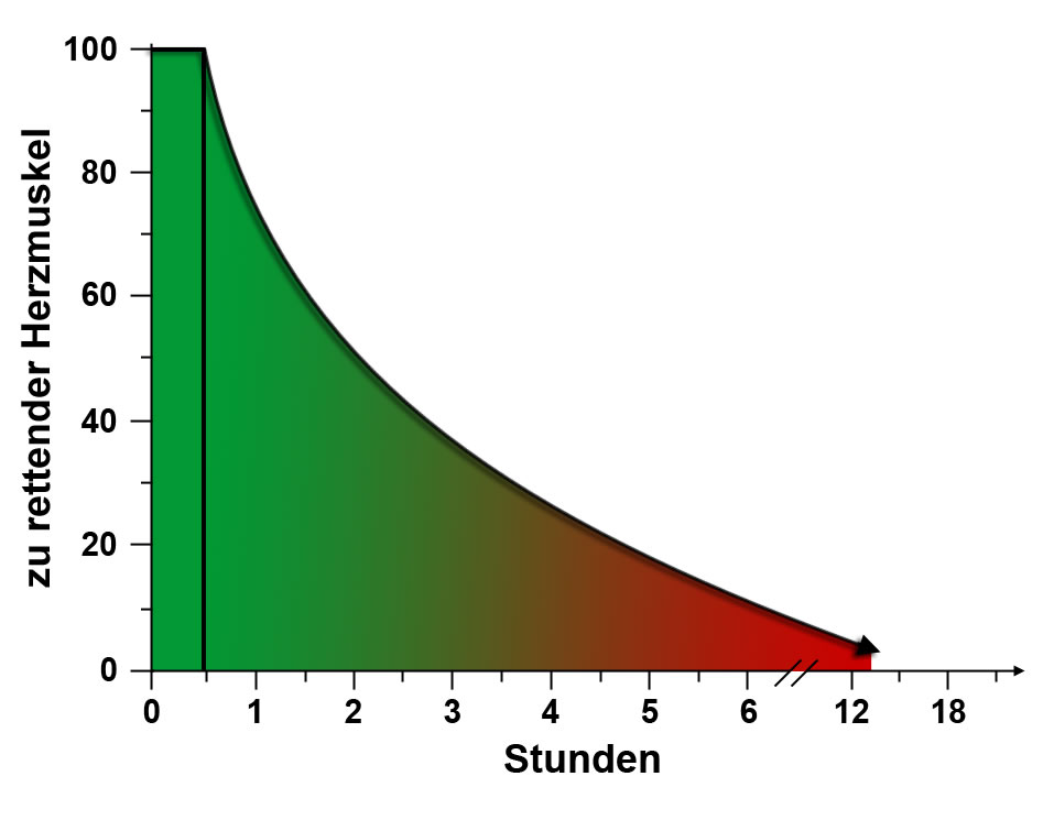 Herzmuskel